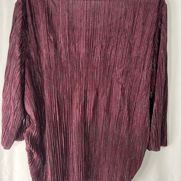 Revolution & Co Women's Top Pleated. in Shimmering Burgundy Glitter Stretch Top - Picture 3 of 12